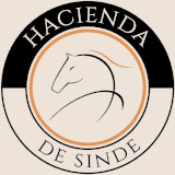 Logotipo Hacienda de Sinde
